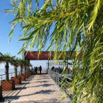 MOLE WEST, Neusiedl am See